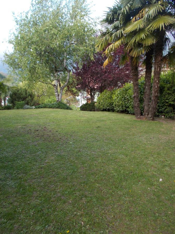 El Campizòl Apartamento Drena Exterior foto